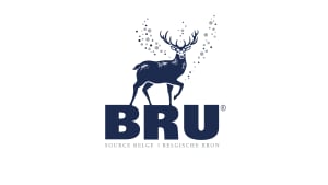 Bru